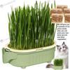 Hydroponic Cat Grass Pot Indoor Cat Grass Hydroponic Planting Pot-Beginners Novelty Pet Snacks Soil Less Watering Solution for Garden, Balcony