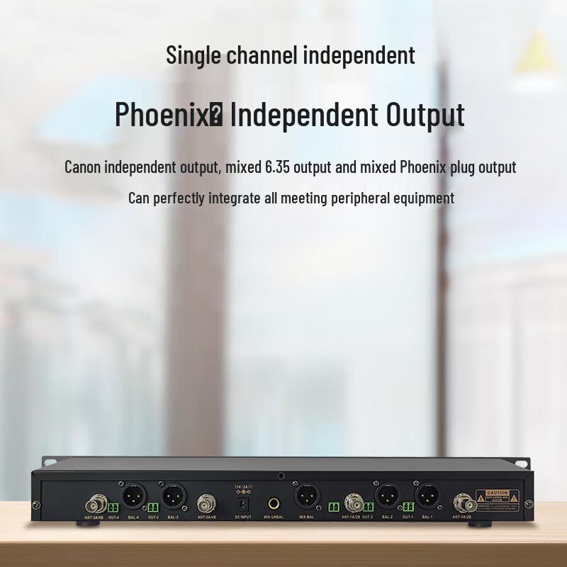 Weishu DC-112 Professional Dual Wireless Microphone System (CN version)