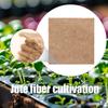 5 Pieces Grow Mat Hydroponic Growing Pads S Propagation