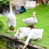 Outdoor Simulation Duck Decoration Garden Pool Water Landscape Decoration Layout Resin Decoration