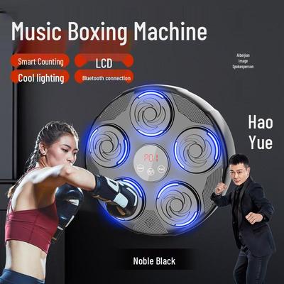Aibeijian Smart Music Boxing Trainer for Kids & Adults - Home Fitness Target