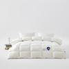 MUJI California Silk Duvet