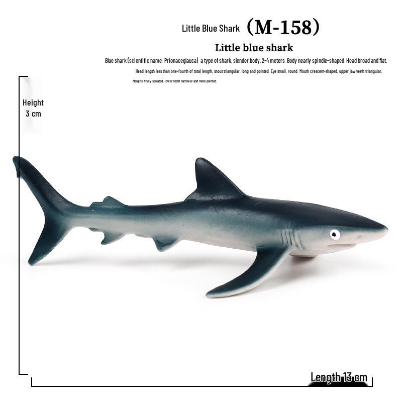 Children s Marine Animal Model: Megalodon, Shark, Dolphin, Beluga, Narwhal Toy