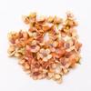 50pcs/bag Artificial Flower Heads 2cm Mini Flower DIY Garland Festival Decoration Wedding Decoration Home Ornament