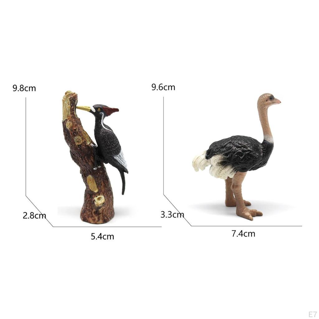Bird Figurines Set for Children's Play And Decoration