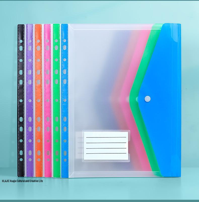 4 Clear Snap-Button File Pockets with Labels, Thickened, Large Capacity Vertical Folder, School Subject Dividers