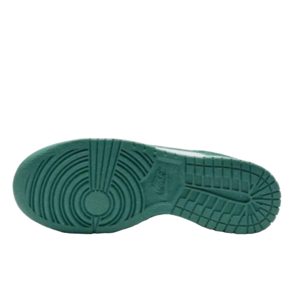 Nike Dunk Low Next Nature Bicoastal
