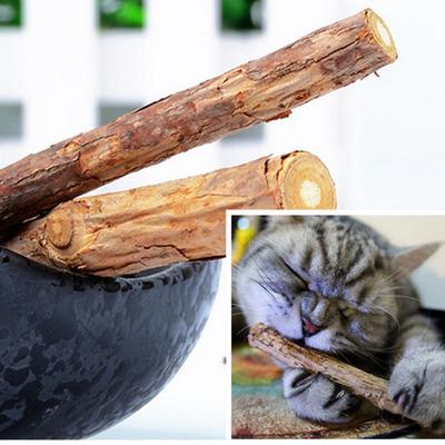 cat dental chew sticks