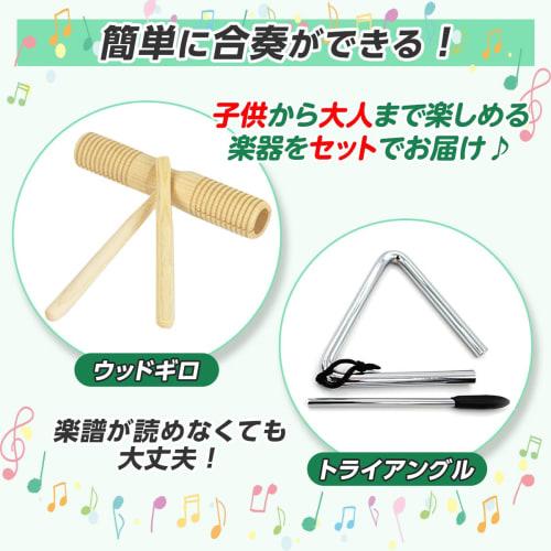 SALUDABLE Wood Block Guiro Triangle Musical Instrument Percussion Ethnic Set