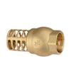 Strong Metal Brass Foot Valve Female Thread Check Valve Strainer Filter  Complete Specifications