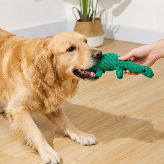 Dog Cotton Rope Toy Cute Dinosaur Shaped Dog Chew Toy for Aggressive Chewers Interactive Pet Training Toy for Small Medium Dogs