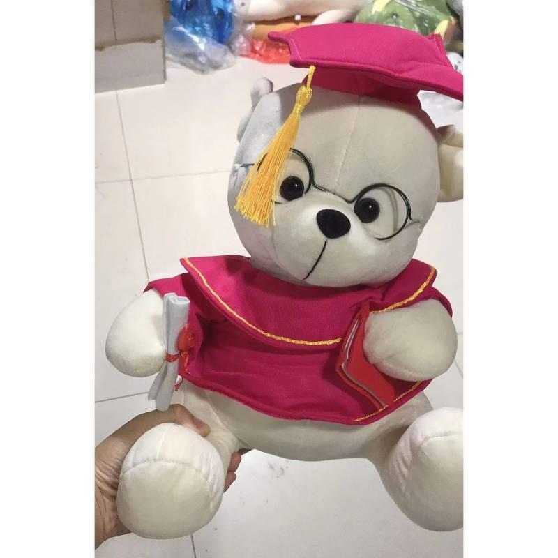 Dr Gift Graduation Teddy Bear Plush Toy Cartoon Stuffed Doll Decoration Gift