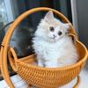 XIUGOUDUOLA  Cat Hammock with Bracket Indoor Hanging Pet Beds for Cats and Small Pets Weight Bearing Rattan/Winter