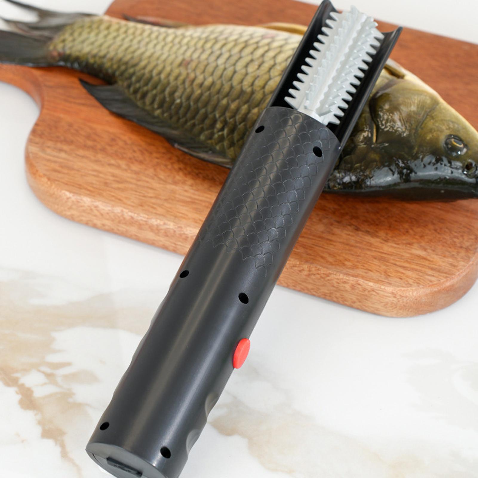 

Fish Scaler Portable Rechargeable Waterproof Comfort Grip Fish Scale Scraper Kitchen Tools For Meat Seafood Home Kitchen China Mainland