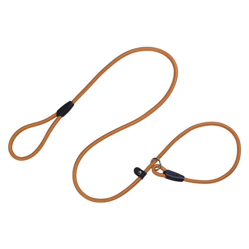 Slip Lead Dog Leash for Puppy Pet Small Dogs Training and Walking Nylon Rope Leash Anti-Choking P-sharped Dog Slip Chains Collar
