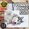 Monthly Planner for Dog Lovers Funny Dogs 2027 Wall Calendar, Jan to Dec 12 Month Functional Desk Decor Hanging with Thick Paper Home Office