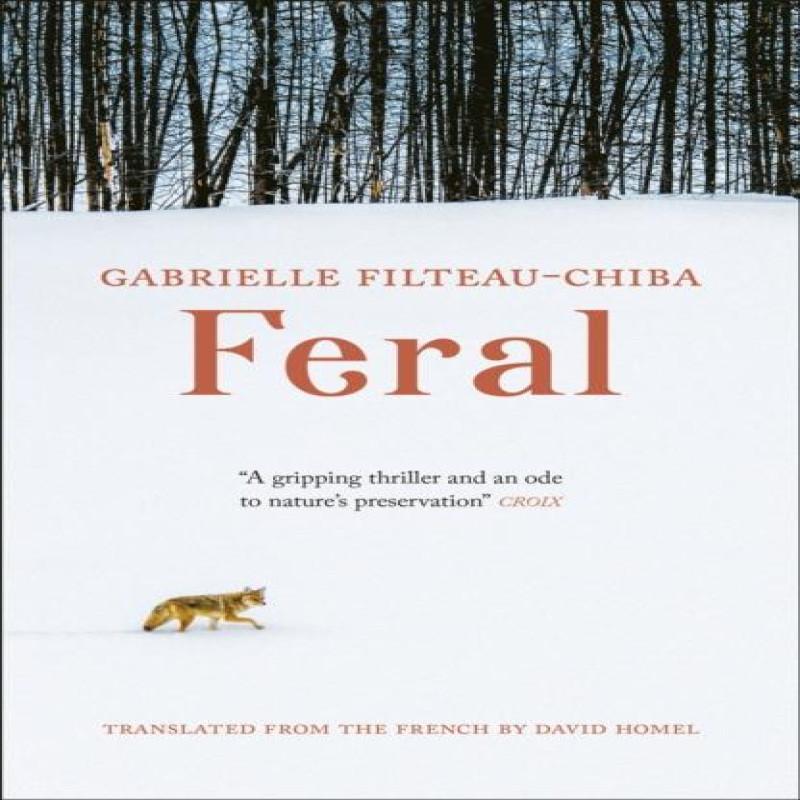 Feral by Gabrielle FilteauChiba Paperback Book 9781800699021