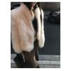 New Fox Fur Stand Collar Fur Coat Fashionable Warm and Good-looking Women's Winter Coat