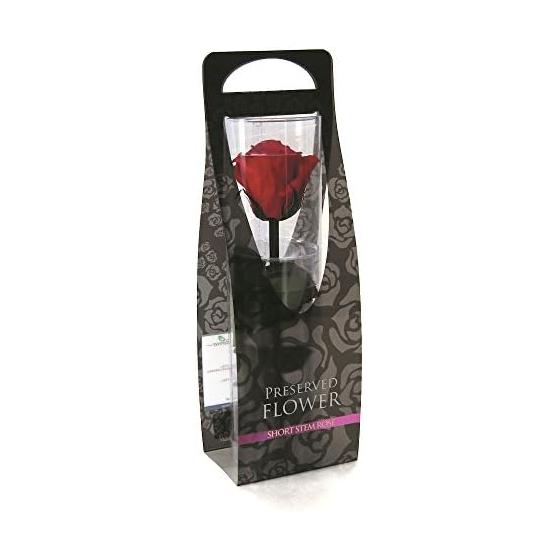 Flor Ever Preserved Flower Short Stem Rose Cherry Red Approx. Flower Diameter 3.5~5 x L20cm FL000072-005