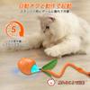 Kitoy Cat Cat Electric Cat Cat Toy Interactive Automatic Toy Electric Cat Mobile Long Tail Toy Ball with Simulated Bird USB Rechargeable Electric Cat