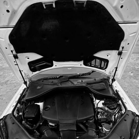 2Pcs Front Hood Lift Support Gas Struts For Mercedes-Benz GL320 GL350 GL450