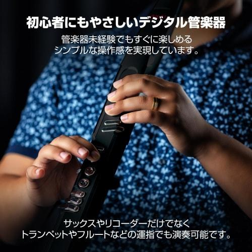 Akai Professional EWI 5000 Wind Synthesizer, Electronic Wind Instrument, Battery-Powered, Wireless, Built-in Sound Library, Breath Sensor, Black