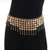 Tassel Belly Chain Vintage Waist Chain Belt Dance Belt  Dance