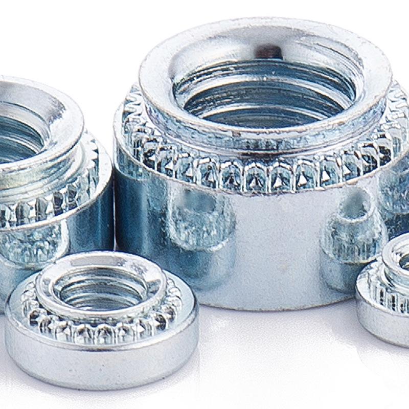 Stainless Steel/Carbon Steel Pressure Rivet Nuts (M3/M4/M5/M8) with Zinc-Plated Finish