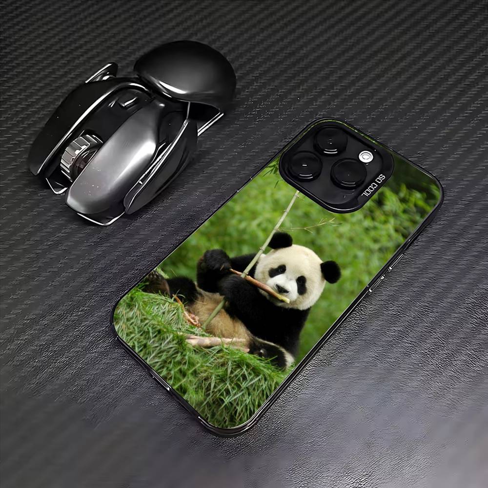 

fubao panda Phone Case For iPhone17,16,15,14,13,12,11 Plus,Pro Max Colored Silver Plated Inside Cover iPhone16pro