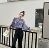 Mesh Shirt Top Women's Design Chiffon Shirt Lantern Sleeve Blouse Bow