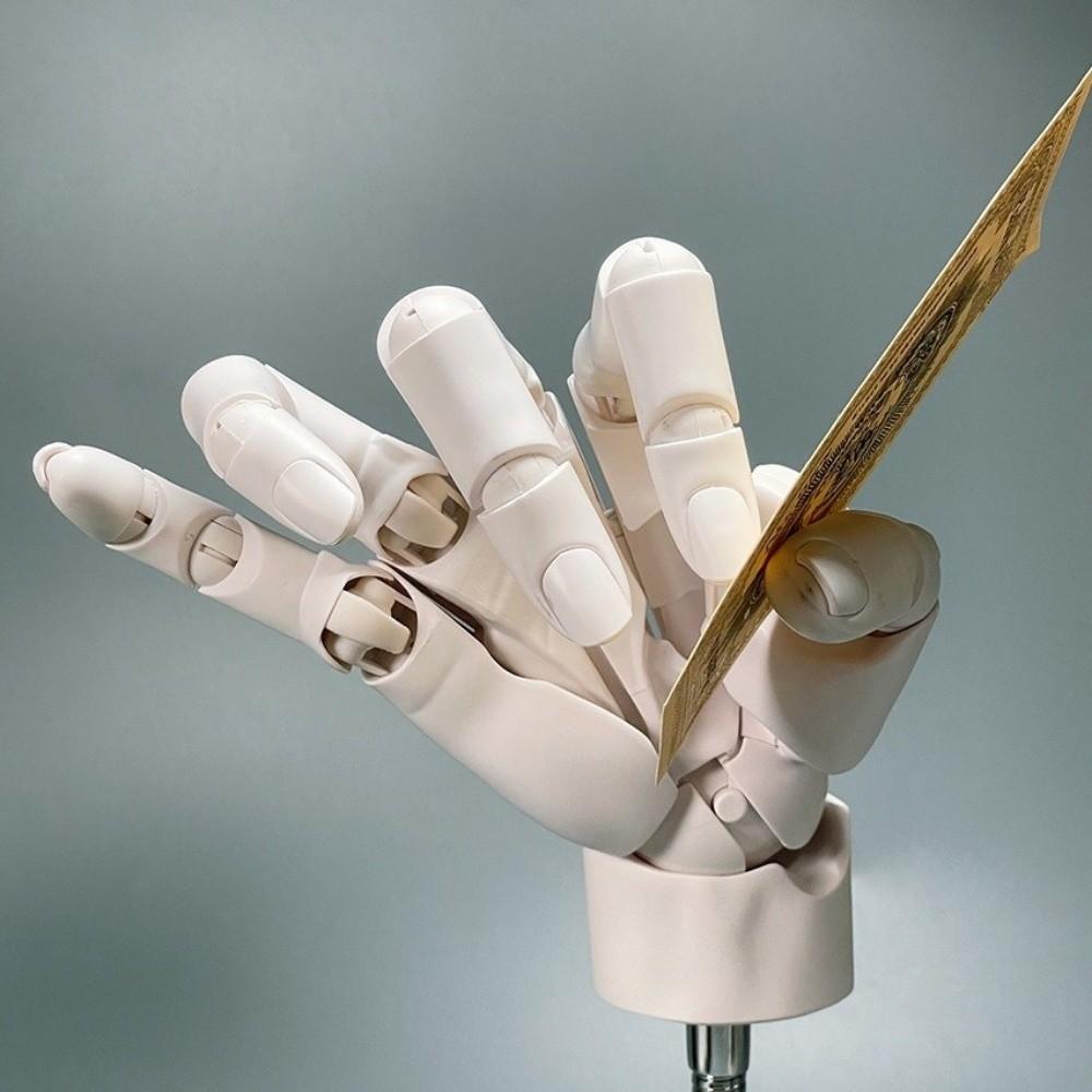Left/Right Articulated Hand Model Hand Finger Joint Figurine  Simulation Sketching Painting