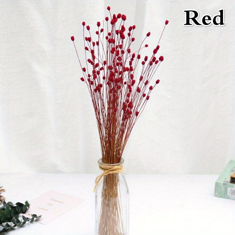 50 Stück/Strauß Brasilien Happy Flower Echte Blume Natur Echter Kleiner Trockenblumenstrauß