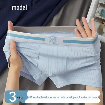 Herren Modal Baumwolle Atmungsaktive Boxerbriefs (3 Pack)
