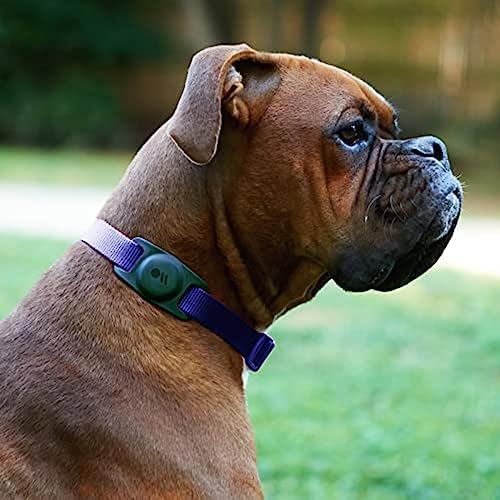 Case-Mate AirTag Hundehalsbandhalter Kratzfester Haustierhalsband-Halter Silikon AirTag Schutzhülle GPS-Tracker Anhänger für Hund & Katze Schwarz 1er-Pack