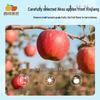 Xiyu Meinong Aksu Fresh Steamed Dried Apples 560g