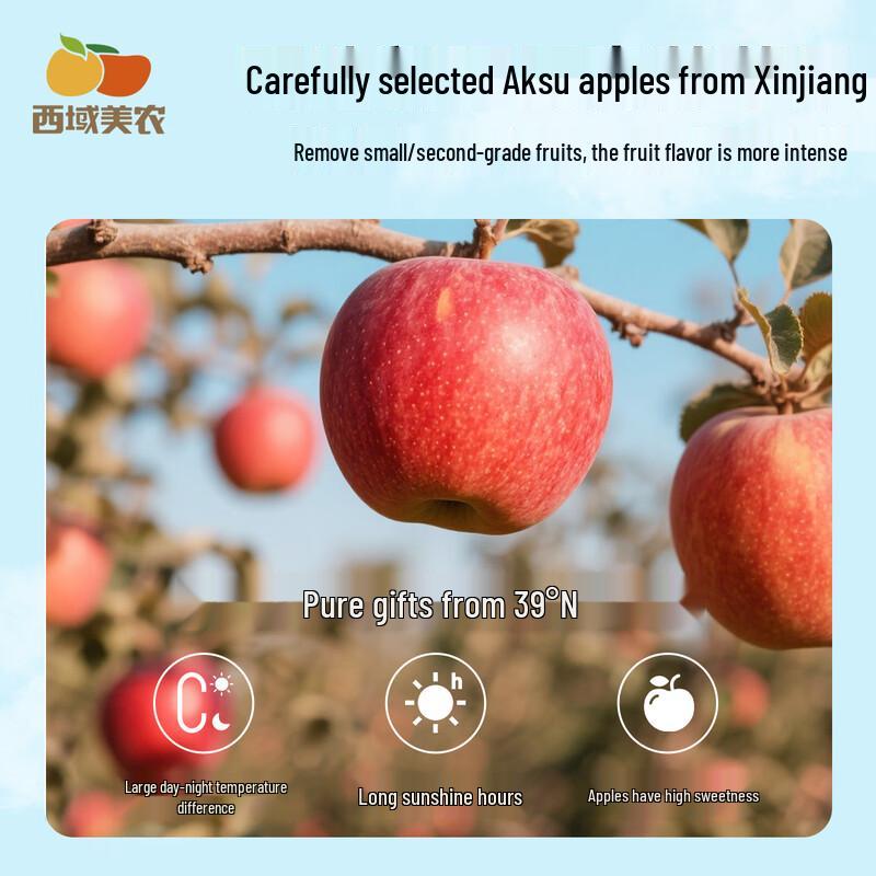 Xiyu Meinong Aksu Fresh Steamed Dried Apples 560g