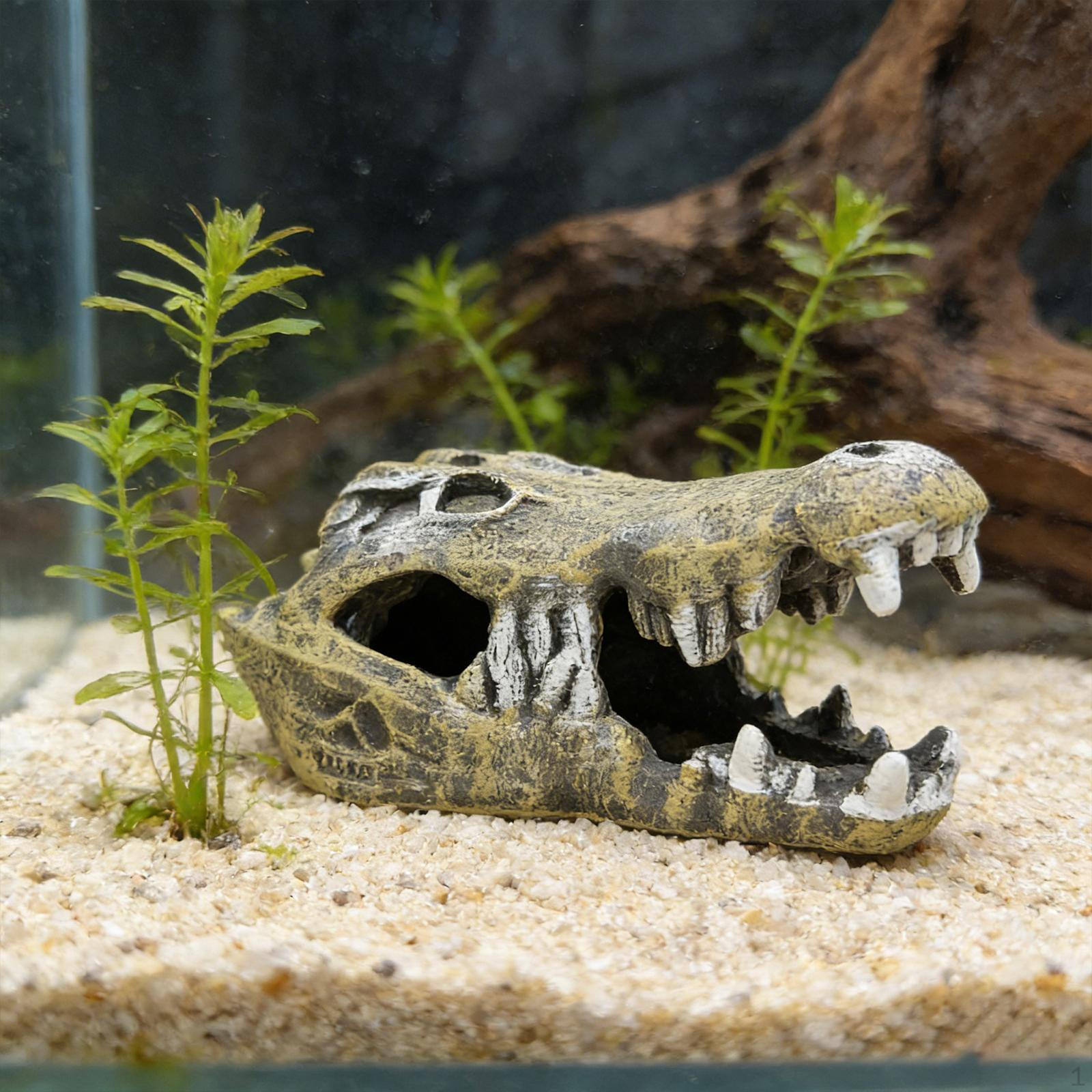 

Aquarium Crocodile Decoration, Fish Tank Ornament Premium, Professional Durability, Accessory