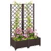 Raised Garden Bed with Trellis, Plastic Planter Box with Drainage Holes, Drain Plugs and Water Reservoirs for Climbing Plants, Vegetables, Flowers