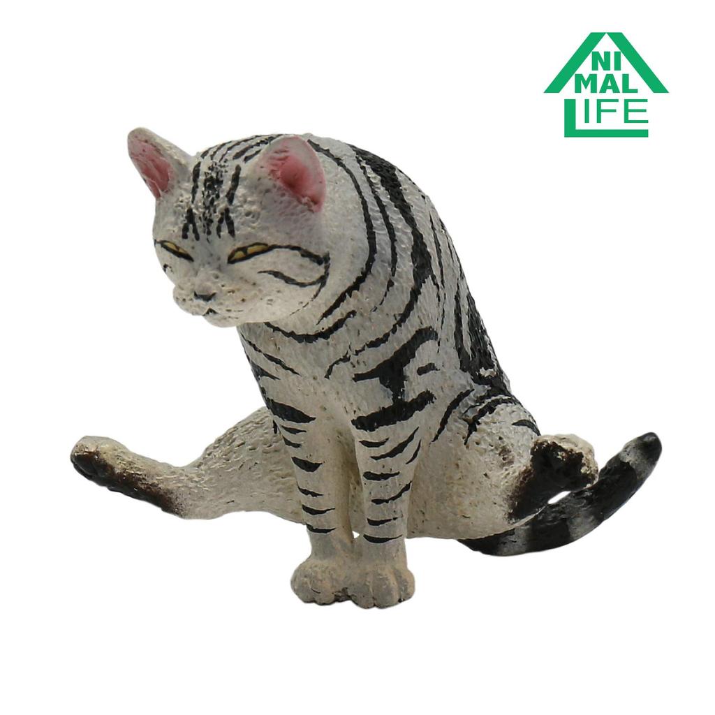 ANIMAL LIFE Yoga Cat 1BOX (8 Pieces)