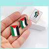Fashionable Palestinian Flag Brooch Pin Wholesale Metal Badge For Clothing Accessories