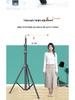 Dual-Position Carbon Steel Phone Stand with Fill Light for Outdoor Streaming
