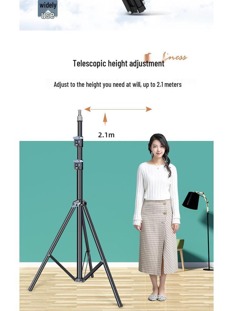 Dual-Position Carbon Steel Phone Stand with Fill Light for Outdoor Streaming