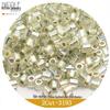 Perline Seed MIYUKI Taglio 2 Facettate 11/0, 14 Colori Placcati Argento, Confezione da 10g.