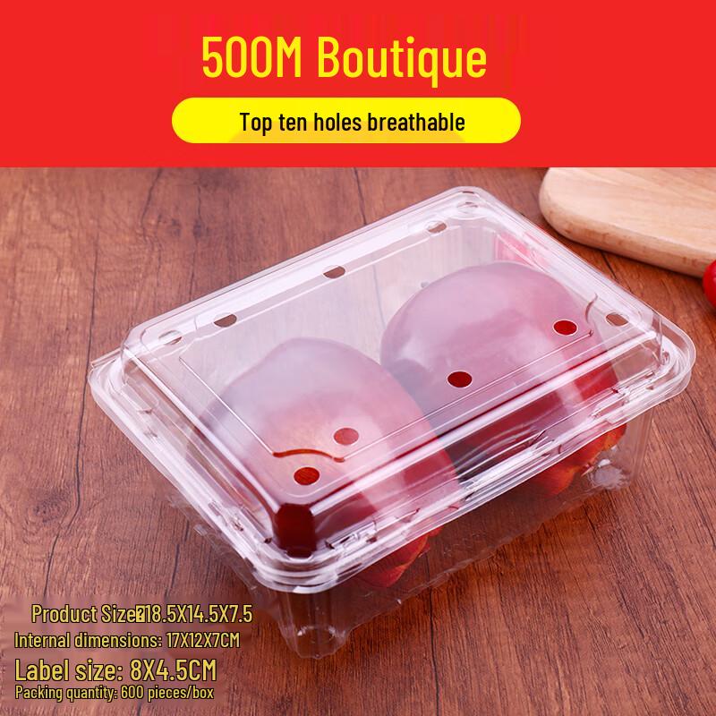 Shixun Disposable Transparent Fruit Containers with Lids (100-Pack)