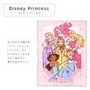 Mazlíček Fluffy Baby Blanket 85 x 115cm Disney Princess Nový Meyer Teplý Materiál Deka NZ2001-PR