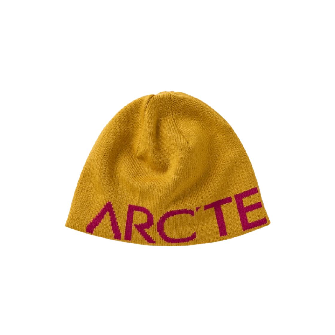 

Arc Teryx Word Head Toque Retreat Synth 28881