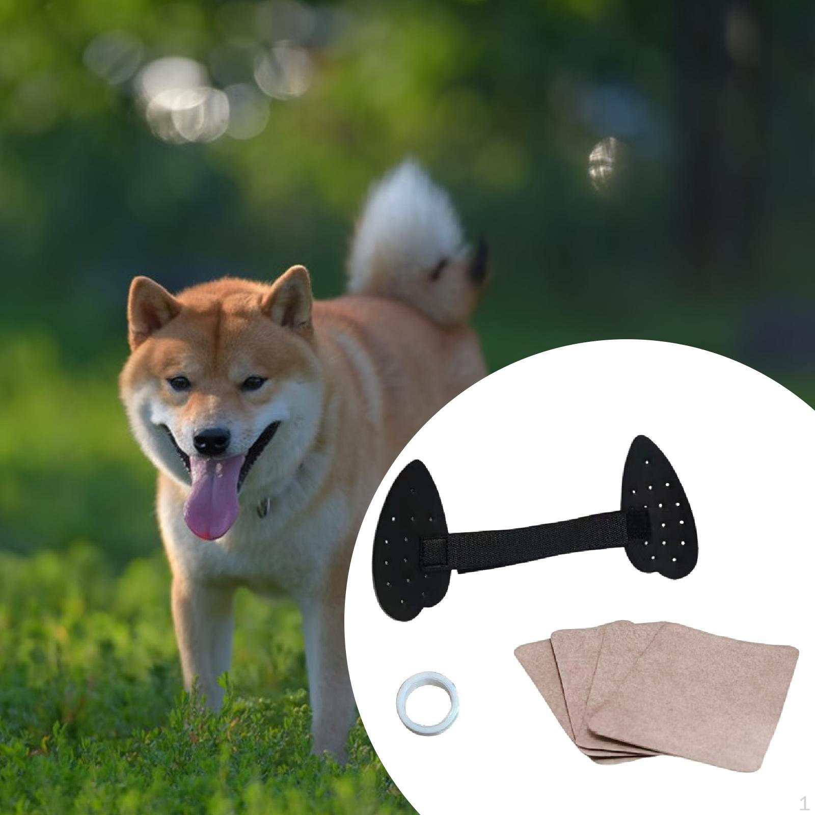 

Dog Ear Posting Kit Assist Erected Small Medium Large Dogs Pet Supplies Cuttable Doggy Puppy Horse small