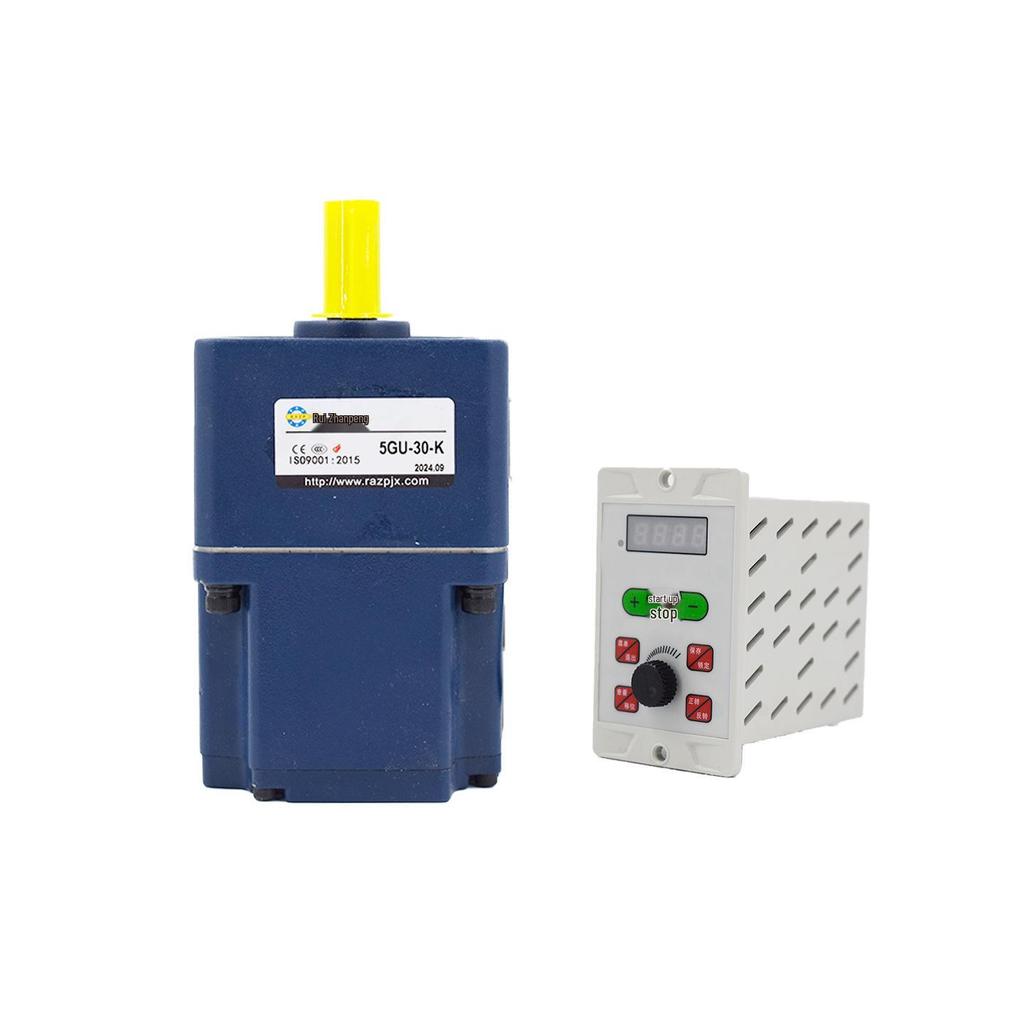 Ruizhanpeng Model 80 Mini Permanent Magnet DC Brushless Gear Motor, 220V Constant Torque, Adjustable Speed