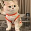 Süße Sommer-Anti-Haarausfall-Kleidung für Haustierkatzen, Atmungsaktive kleine Westen für Gold-Chinchillas, Ragdolls und Britische Kurzhaarkatzen im Sommer