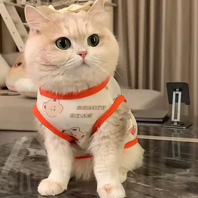 Süße Sommer-Anti-Haarausfall-Kleidung für Haustierkatzen, Atmungsaktive kleine Westen für Gold-Chinchillas, Ragdolls und Britische Kurzhaarkatzen im Sommer